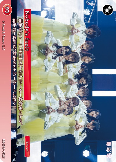 Nobody's fault 【BB-S46-043N】